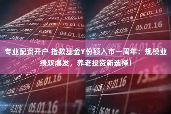 专业配资开户 指数基金Y份额入市一周年：规模业绩双爆发，养老投资新选择！