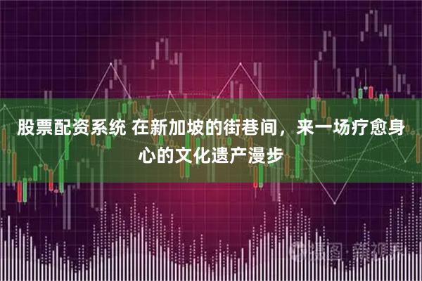 股票配资系统 在新加坡的街巷间，来一场疗愈身心的文化遗产漫步